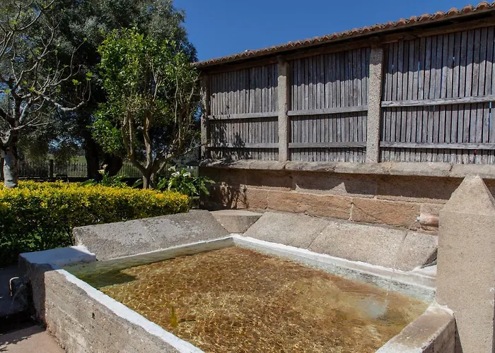 As Bentinas O Milladoiro