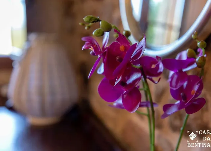 בית כפרי As Bentinas